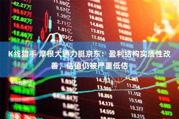 K线猎手 摩根大通力挺京东：盈利结构实质性改善，估值仍被严重低估
